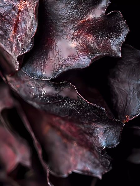 Abstract purple leaves by haroulita