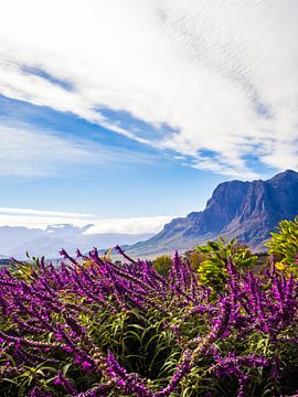 Afrikanische Berglandschaft