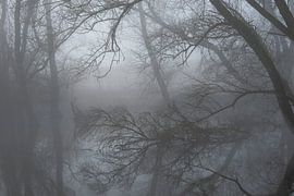 Effrayant sur René Jonkhout