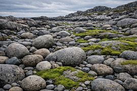 Côte rocheuse dans les tons gris aurore boréale – Rocky Coastal Wilderness sur ButterflyPix