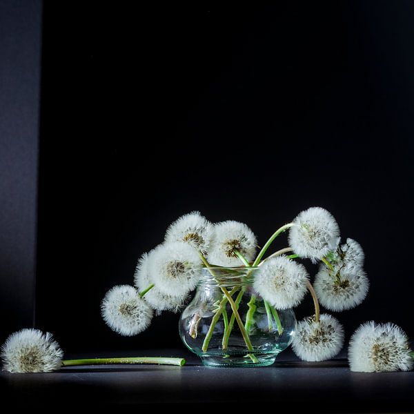Dandelions in glass vase by Marian Waanders
