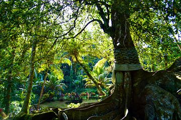 Kleurrijke natuur op Bali van Eske Ruijters
