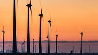Polder mill Goliath among modern wind turbines - Eemshaven by Jurjen Veerman thumbnail