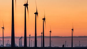 Poldermolen Goliath tussen moderne windturbines - Eemshaven
