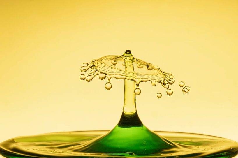 Gouttelettes d'eau/éclaboussures par Tanja van Beuningen