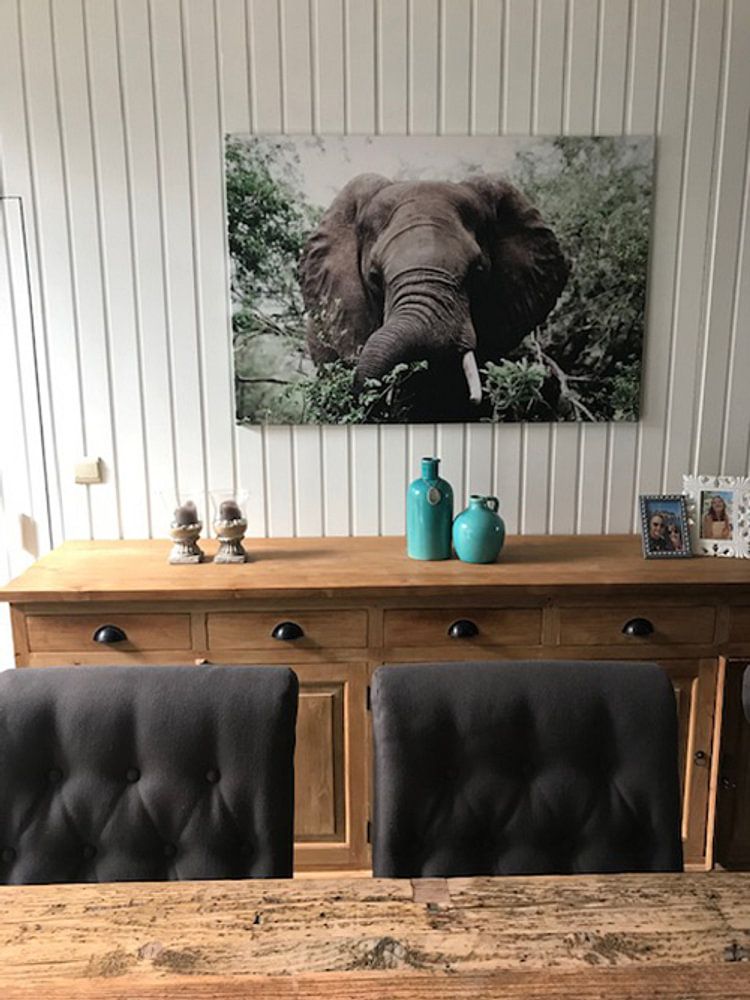 Afrikaanse Olifant in de Bossen van Krugerpark van Thomas Bartelds