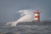 Sturm an der Küste in der Nähe des Leuchtturms in Scheveningen