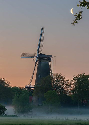 molen in het maanlicht
