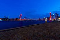 Skyline of Rotterdam