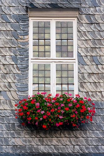 Fenster in der Abendsonne