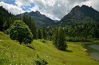 Sommer in den Bergen