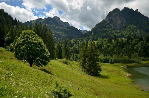 Sommer in den Bergen