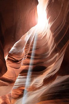 Carpe Diem - Den Tag wählen