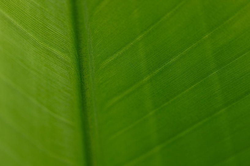 Nervenstilte par Marika Huisman fotografie