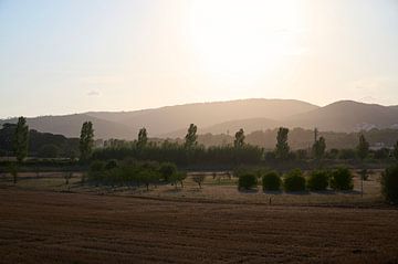 Landschap in Spanje van Sjoerd van der Hucht