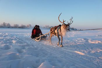 Traditioneller Transport in Schwedisch-Lappland