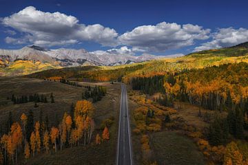 Autumn magnificence III by Martin Podt