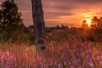 Radenbach Valley by Dieter Rabenstein