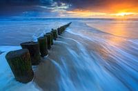 Aan de kust