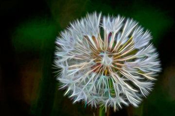 Electrified dandelion by Frank's Awesome Travels