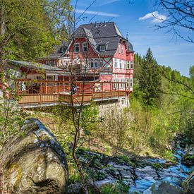 Harz - Ausflugsgaststätte Steinerne Renne von t.ART