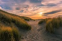 Pad in de zeeuwse duinen