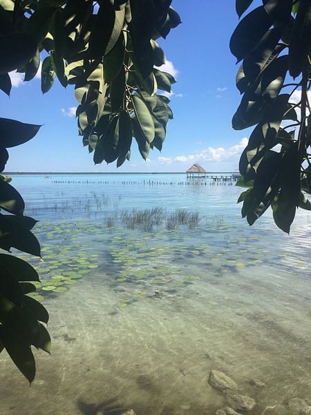 Lake Bacalar by Leonie Pereboom