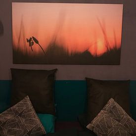 Photo de nos clients: Bandheidelibel au lever du soleil par Erik Veldkamp, sur toile