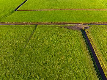 Ditch through green meadows seen from above by Sjoerd van der Wal Photography