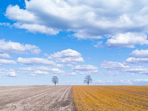 Eenvoud op de Hondsrug, Drenthe van Bas Meelker