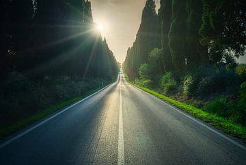 Avenue des cyprès de Bolgheri au coucher du soleil. Toscane sur Stefano Orazzini