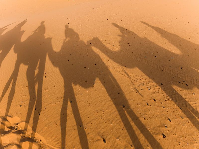 Ausflug in die Saharawüste in Marokko von Shanti Hesse