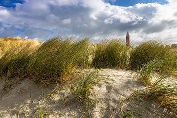 Vuurtoren en duinen op Texel van Daniela Beyer