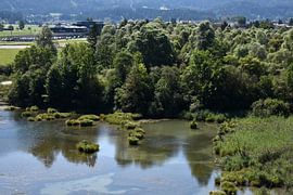 Pflach, Reutte, Lech in Tirol / Österreich.  Bilder von den Lechauen, der Lech im Sommer. von Karl-Heinz Petersitzke