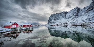 Winter landschap met fjord in Noorwegen van Chris Stenger