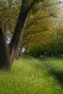 Landschaft Teil 40 von Tania Perneel