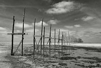 Vliehors | Vlieland