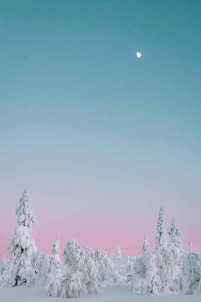 Marshmallow Bäume Sonnenuntergang | Reisefotografie Druck | Saariselkä Lappland von Kimberley Jekel