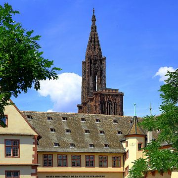 Kathedraal van Straatsburg van Patrick Lohmüller