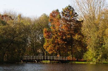 herfst in het park