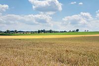 Ländliche Kulturlandschaft in Hohenlohe