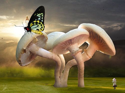 Kinderträume - H. Fischer