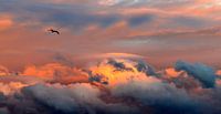 sunlit clouds by Jacqueline van Leeuwen thumbnail