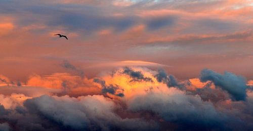 zonovergoten wolken van Jacqueline van Leeuwen