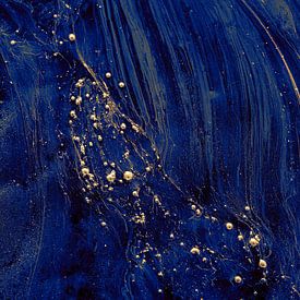 North Sea Gold, Zusammenfassung von Yanuschka | Fotografie Noordwijk