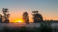 Sunrise Mist van William Mevissen thumbnail