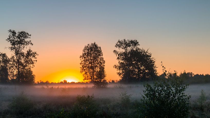Sunrise Mist van William Mevissen