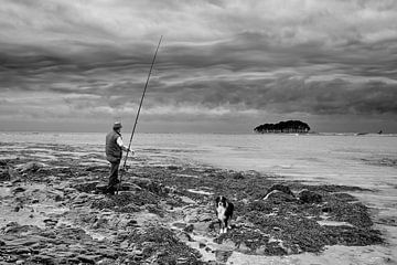 Visser in de Golf van Morbihan van Alwin Koops fotografie