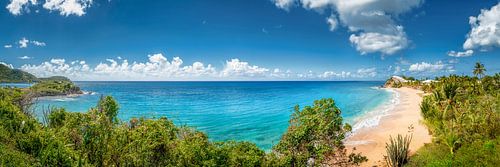 Antigua strand in het Caribisch gebied