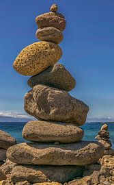 Steenman sur Els van Dongen